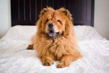 Elodie ARNAUD - ARNAUD ELODIE