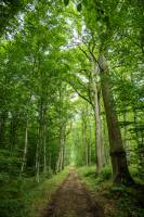 Xavier MARTINO - STUDIO MARTINO